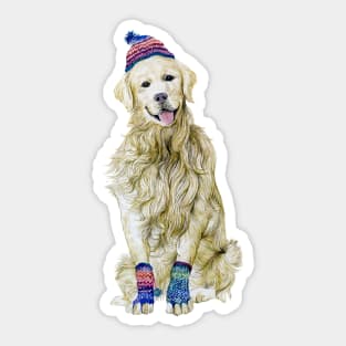 Golden Retriever wearing winter outfit Sticker